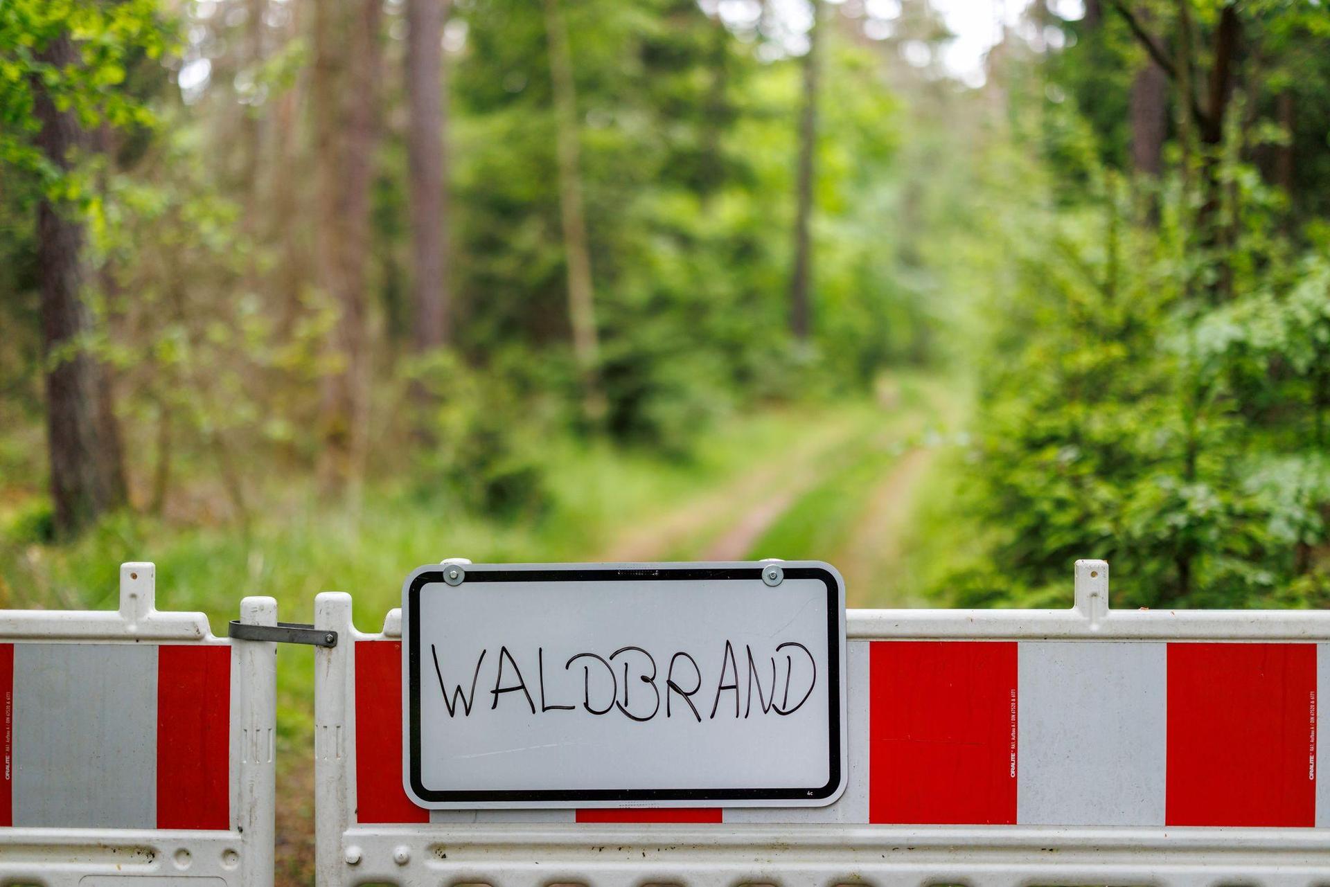 Am späten Samstagvormittag hat es in einem Wald zwischen Massenricht und Dürnast gebrannt. Rund 100 Einsatzkräfte konnten das Feuer aber schnell löschen. (Symbolbild: Daniel Karmann/dpa)