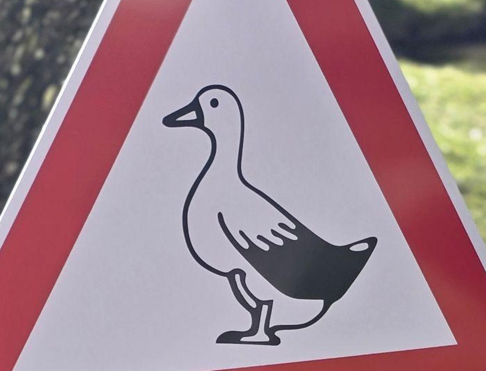 Ein nicht amtliches Verkehrszeichen „Freilaufende Ente“ wurde in Großalbershof gestohlen. (Bildquelle: privat)