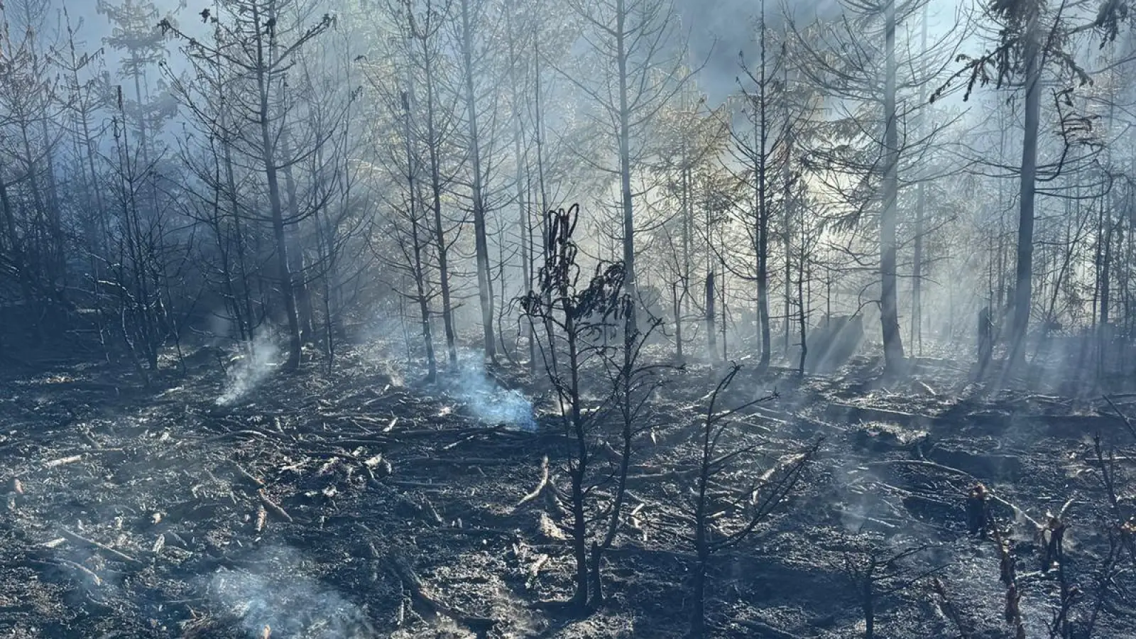 Ein Waldbrand zwischen Etzgersrieth und Wildstein hat am Freitag 10 000 Quadratmeter erfasst. (Bild: KBM Christian Demleitner, Kreisbrandinspektion NEW)