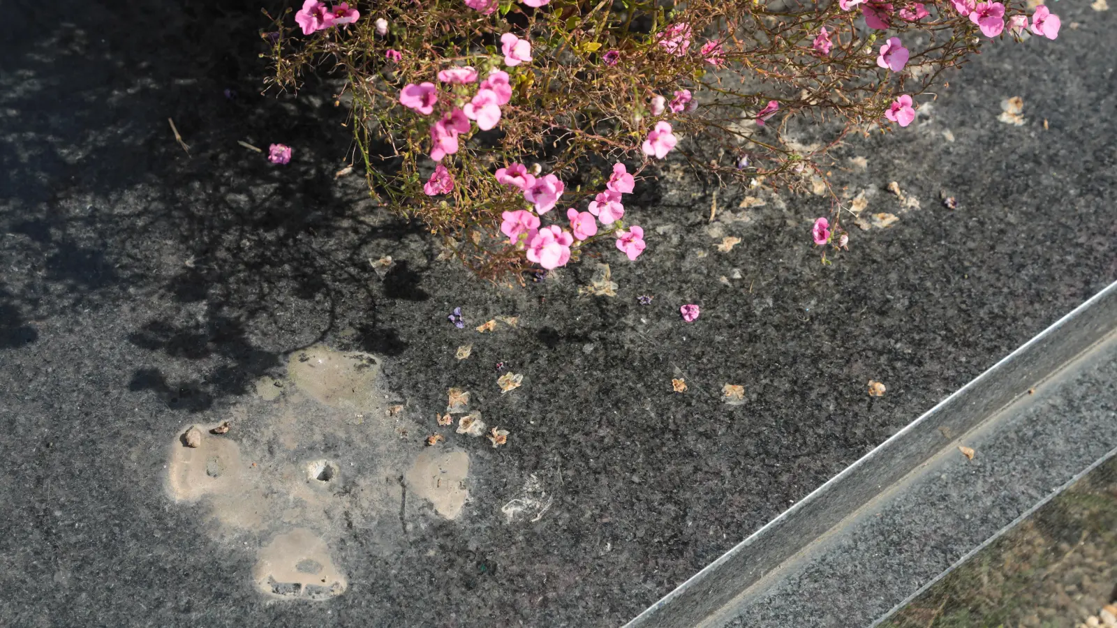 Auf dem Katharinenfriedhof waren Grabschänder am Werk. Der Schaden ist enorm. (Archivbild: Wolfgang Steinbacher)