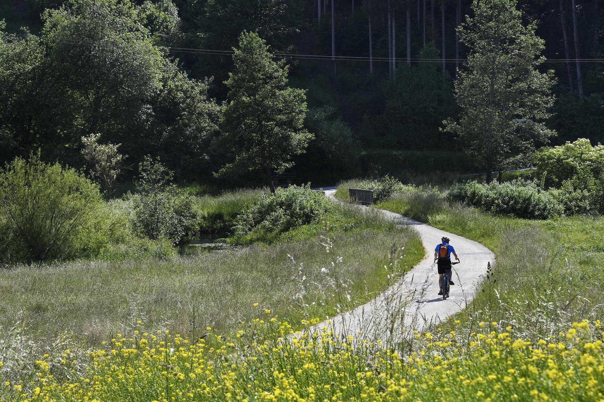 Der Radweg zwischen Windischeschenbach und Neustadt/WN wird bald fertig gestellt.  (Symbolbild: Petra Hartl)