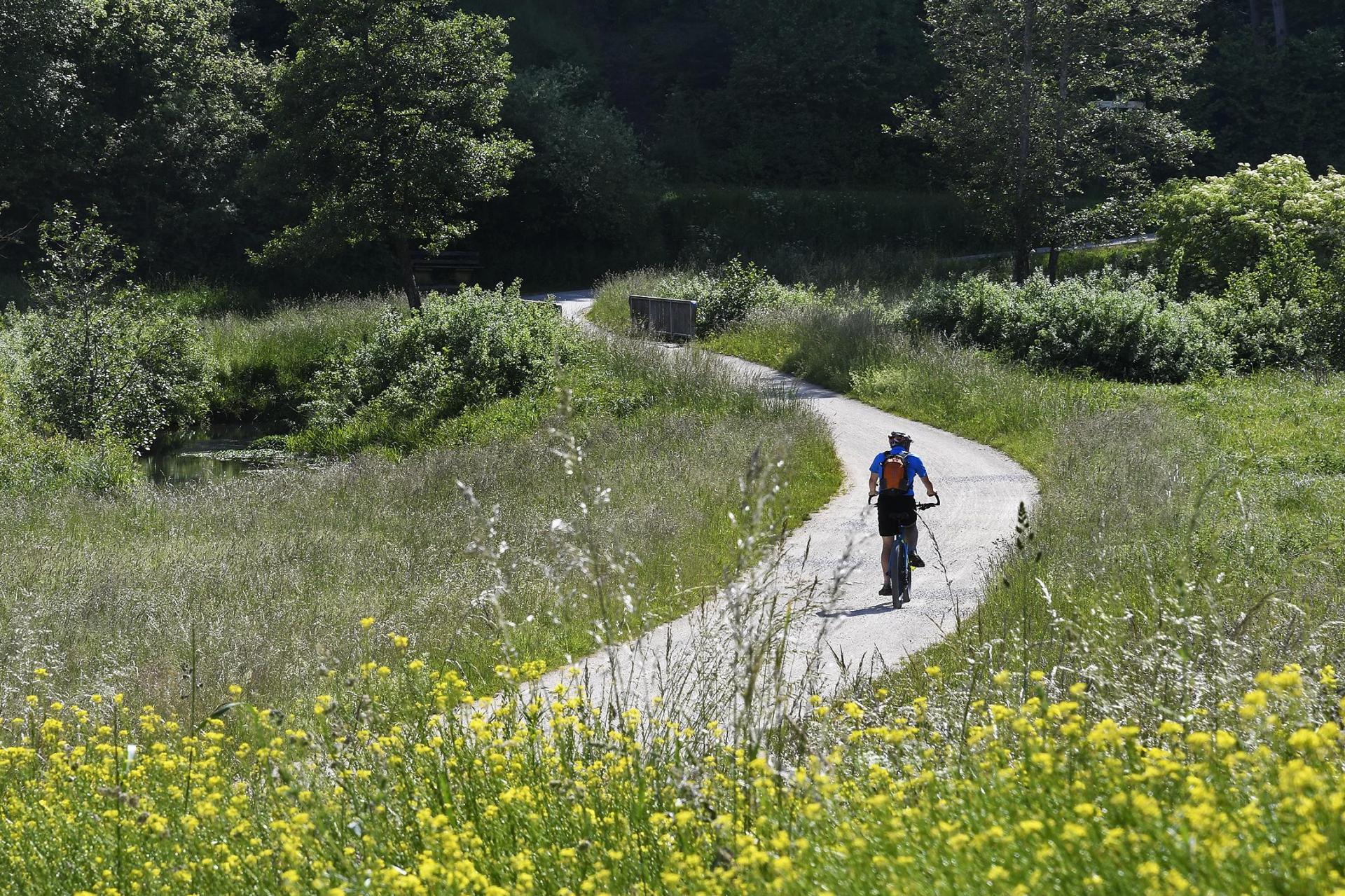 Der Radweg zwischen Windischeschenbach und Neustadt/WN wird bald fertig gestellt.  (Symbolbild: Petra Hartl)