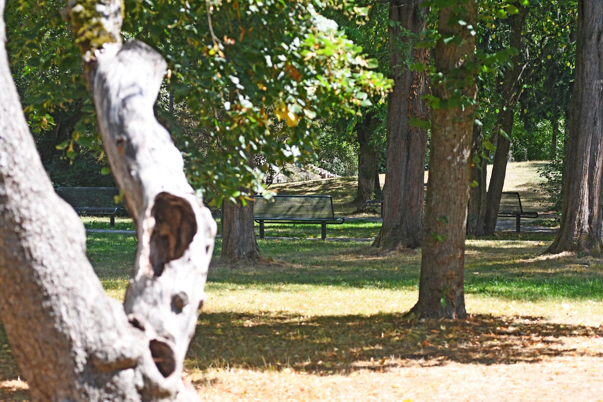 Ein 42-jähriger Mann ist im Max-Reger-Park in Weiden offenbar im Schlaf bestohlen worden. (Symbolbild: Gabi Schönberger)