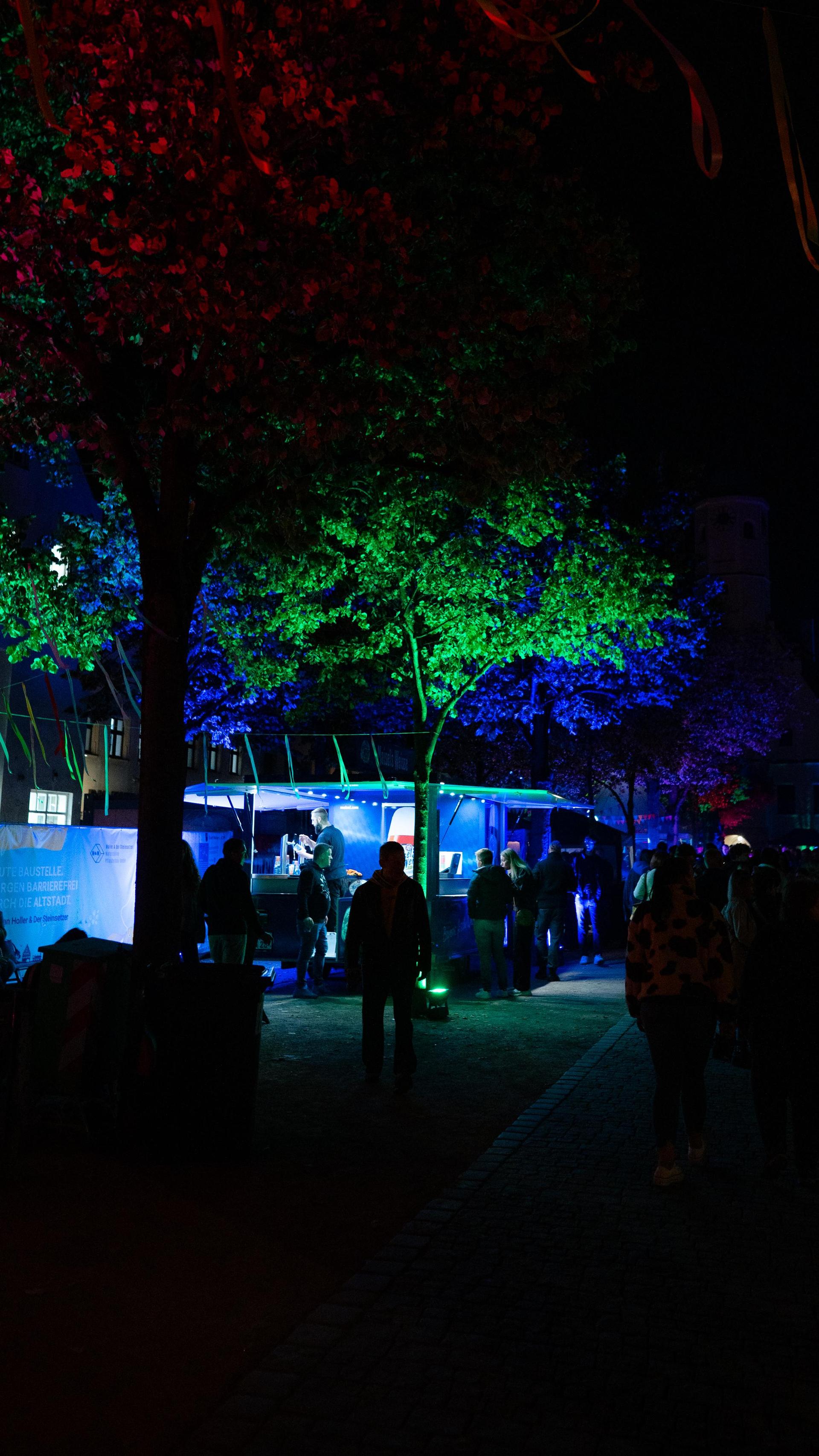Die Highlights des Altstadtfests. (Bild: Hannes Stock)