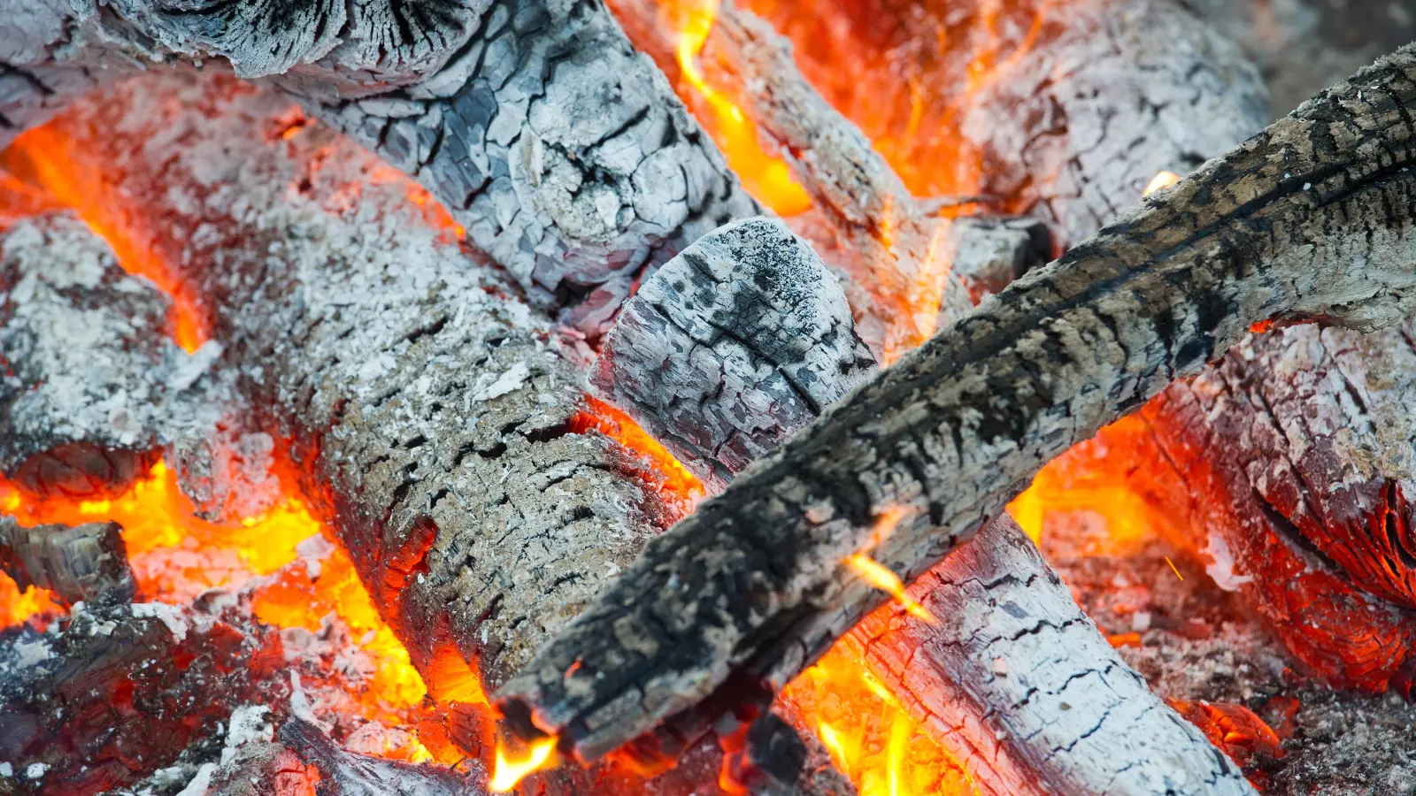 Ein 58-Jähriger stürzte am Freitag bei Luhe-Wildenau in ein Lagerfeuer und erlitt schwere Brandverletzungen. (Symbolbild: Patrick Pleul/dpa)