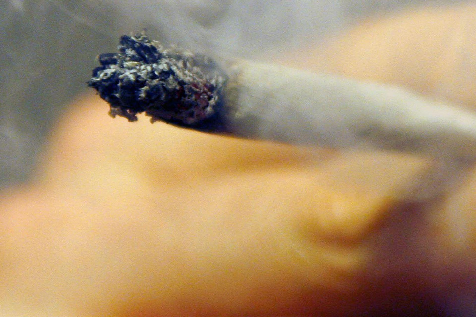 Mit Haschisch und Marihuana im Auto wollte ein Fahrer in Waidhaus nach Deutschland einreisen. (Symbolbild: Daniel Karmann/dpa)