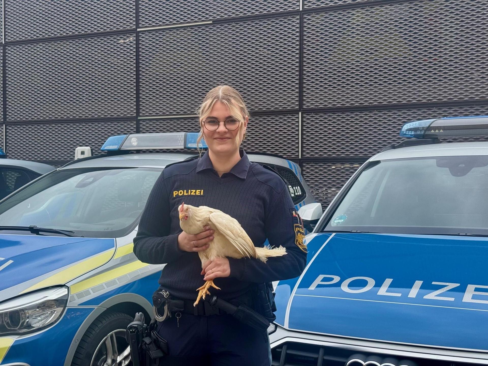 Die Polizei konnte sechs lebende Hühner wieder ihrem Besitzer übergeben. (Bild: PI Regensburg Süd/ba)