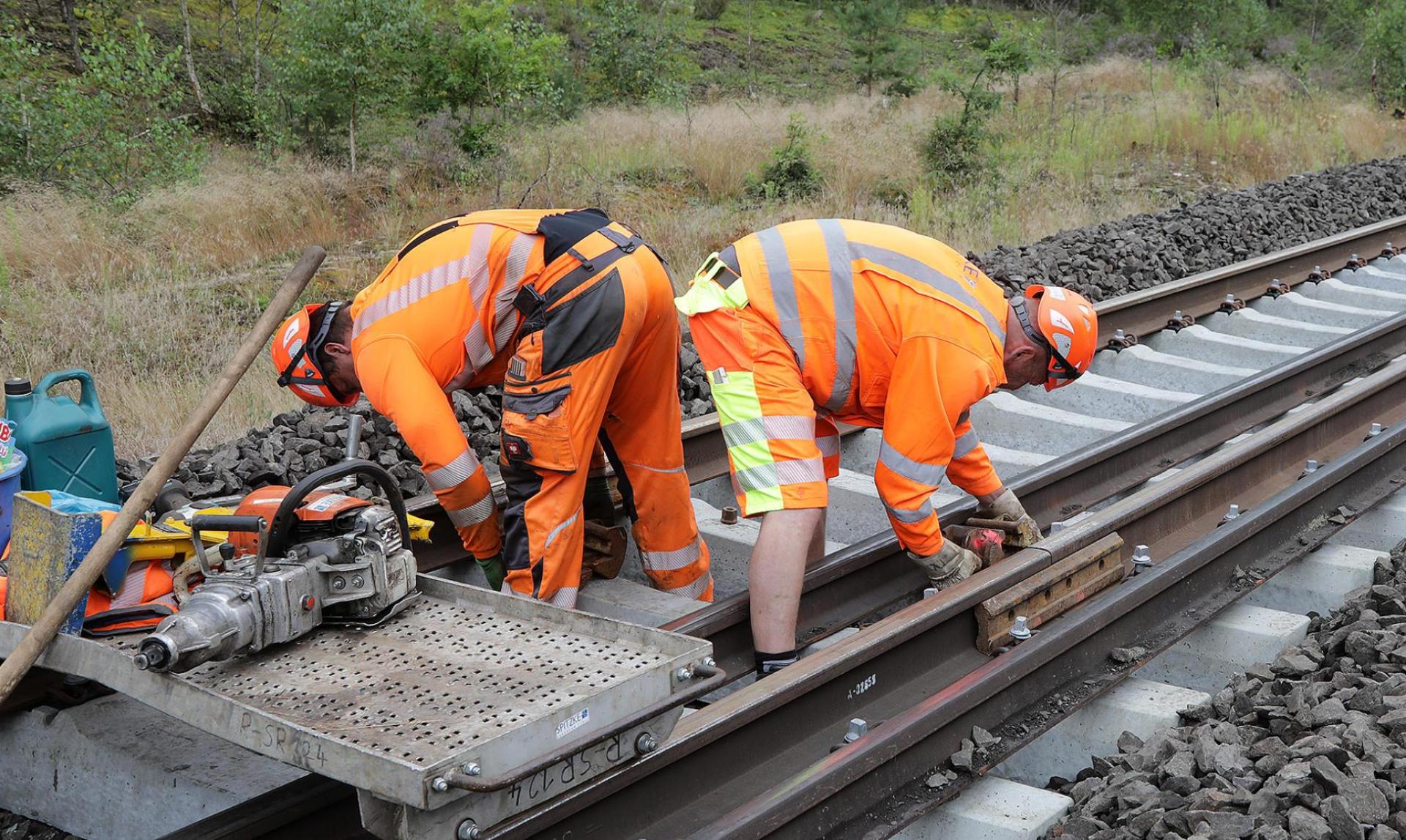 Gleisarbeiten sorgen für Einschränkungen beim Bahnverkehr (Bild: Wolfgang Steinbacher)