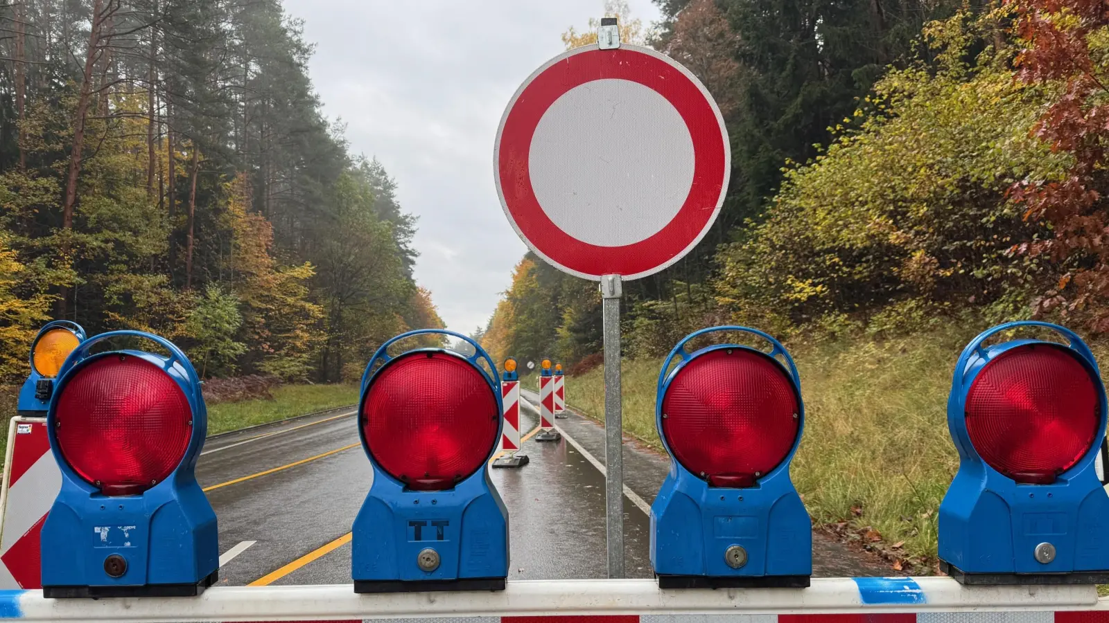 In Sulzbach-Rosenberg ist eine Straßensperrung wegen Baumpflegearbeiten notwendig. (Symbolbild: Heike Unger)