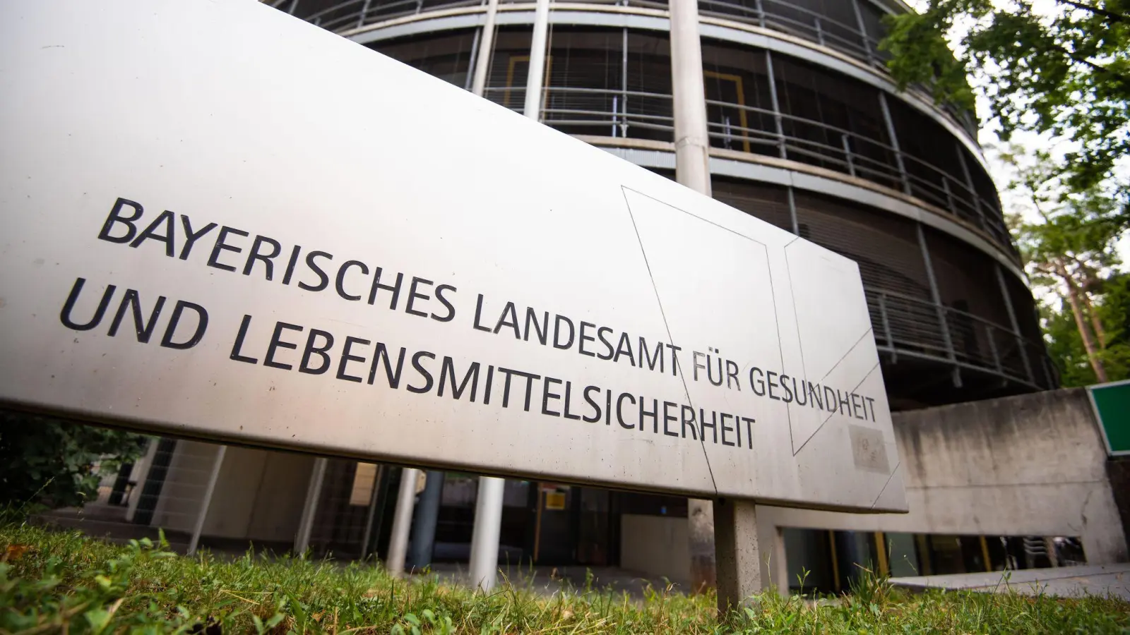 Das Landesamt für Gesundheit und Lebensmittelsicherheit warnt vor dem Kontakt mit Spitzmäusen. (Symbolbild: Nicolas Armer/dpa)