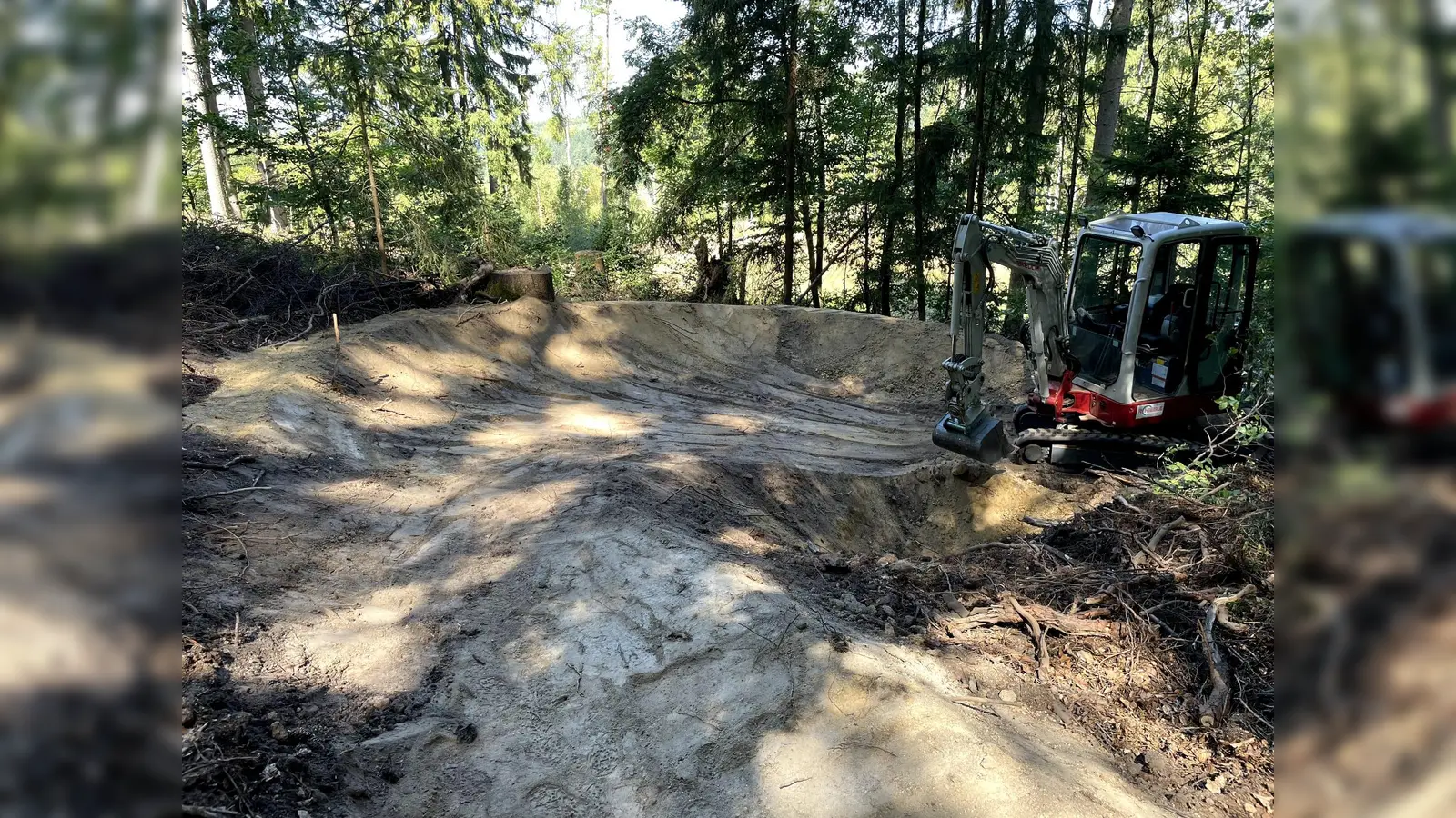 Im Oberpfälzer Wald sollen vier neue Mountainbike-Trails entstehen. Die offizielle Eröffnung ist für Frühjahr 2027 geplant.  (Bild: Naturparkland)