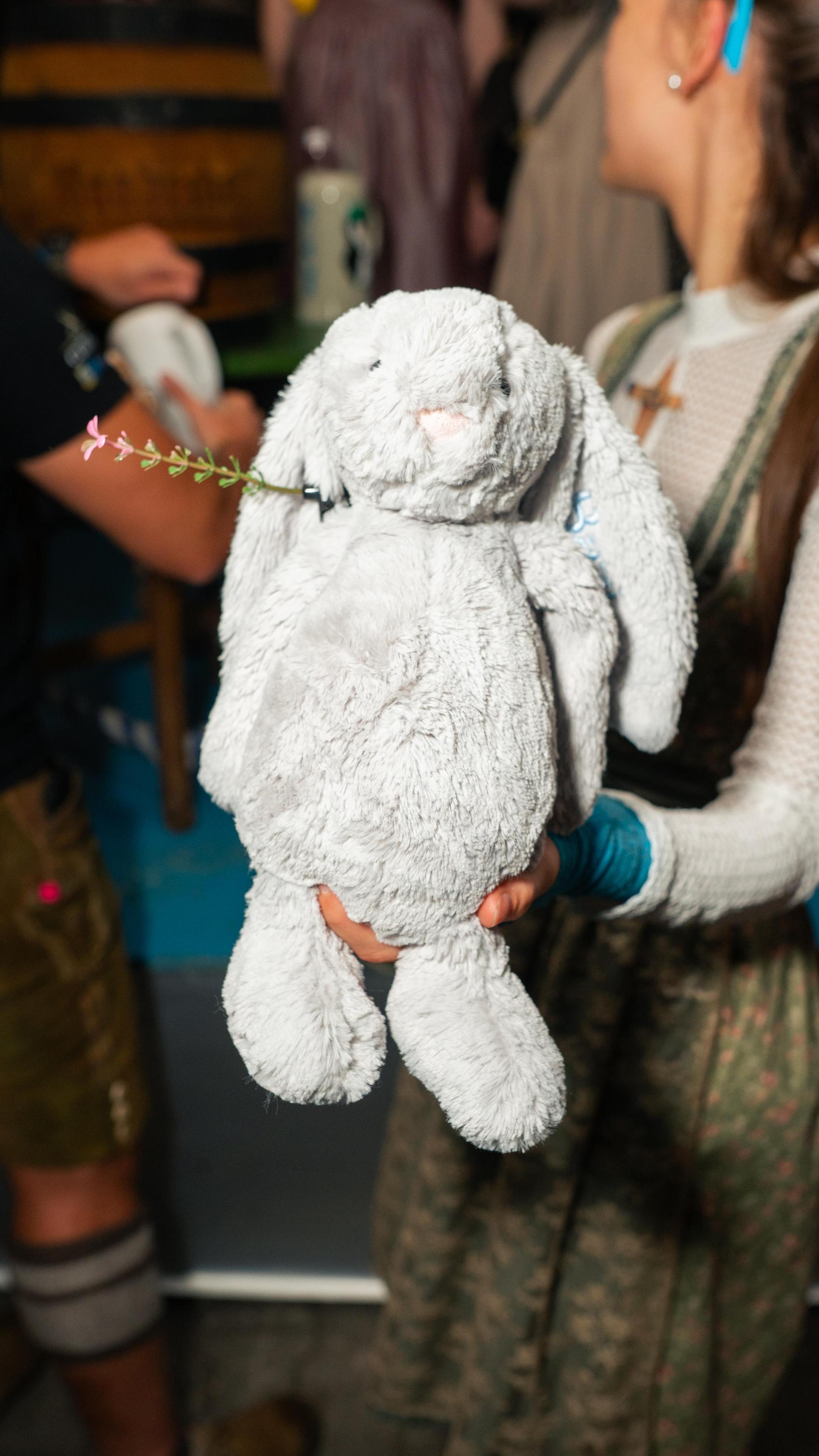 Die Highlights der Etzenrichter Kirwa (Bild: Hannes Stock)