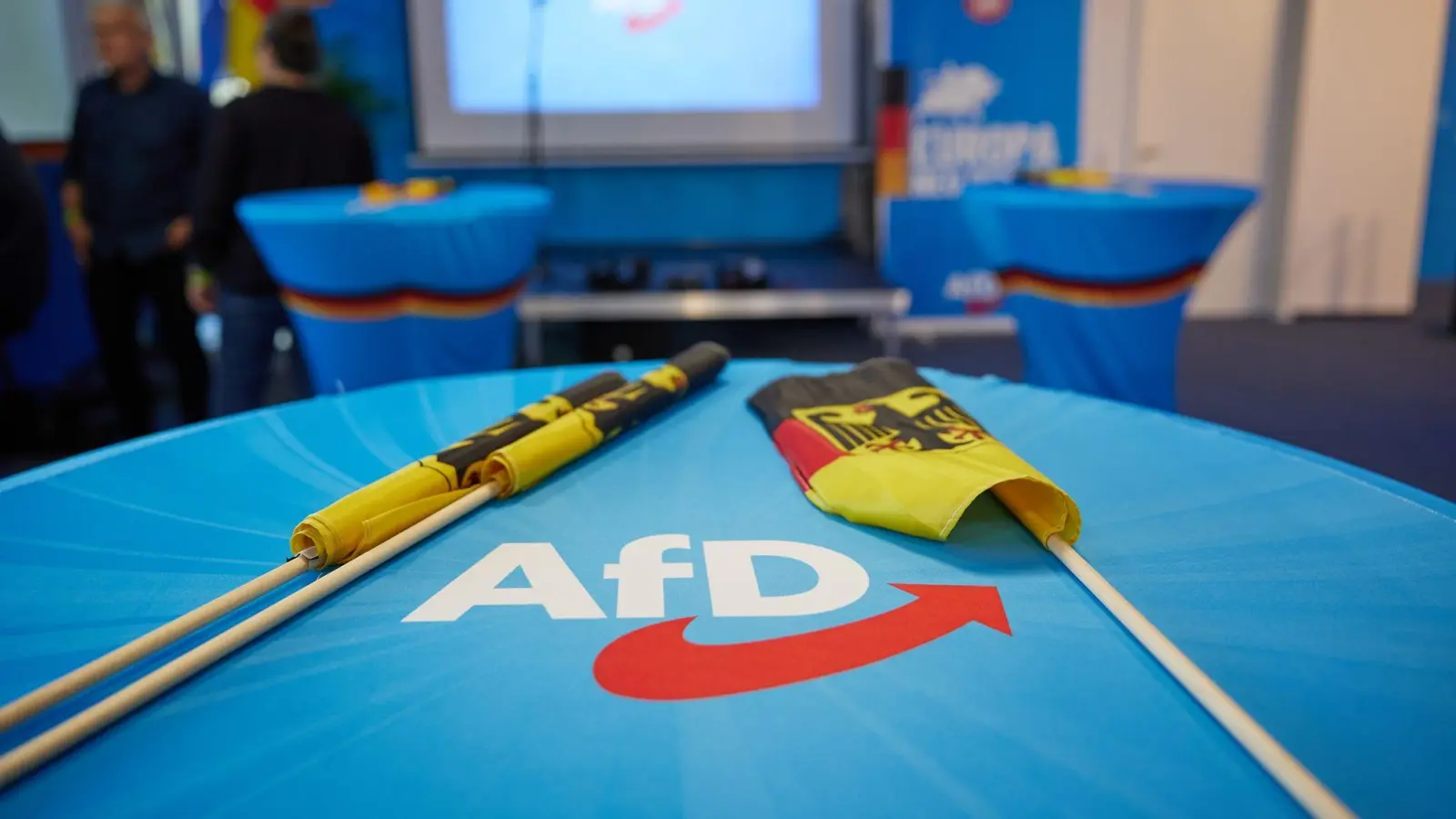 Wie geht es weiter für die AfD im EU-Parlament? Die ID-Fraktion trennte sich kurz vor der Europawahl von der Partei. (Bild: Jörg Carstensen/dpa)